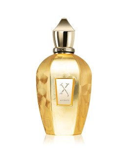 Xerjoff Accento Overdose - 100ML